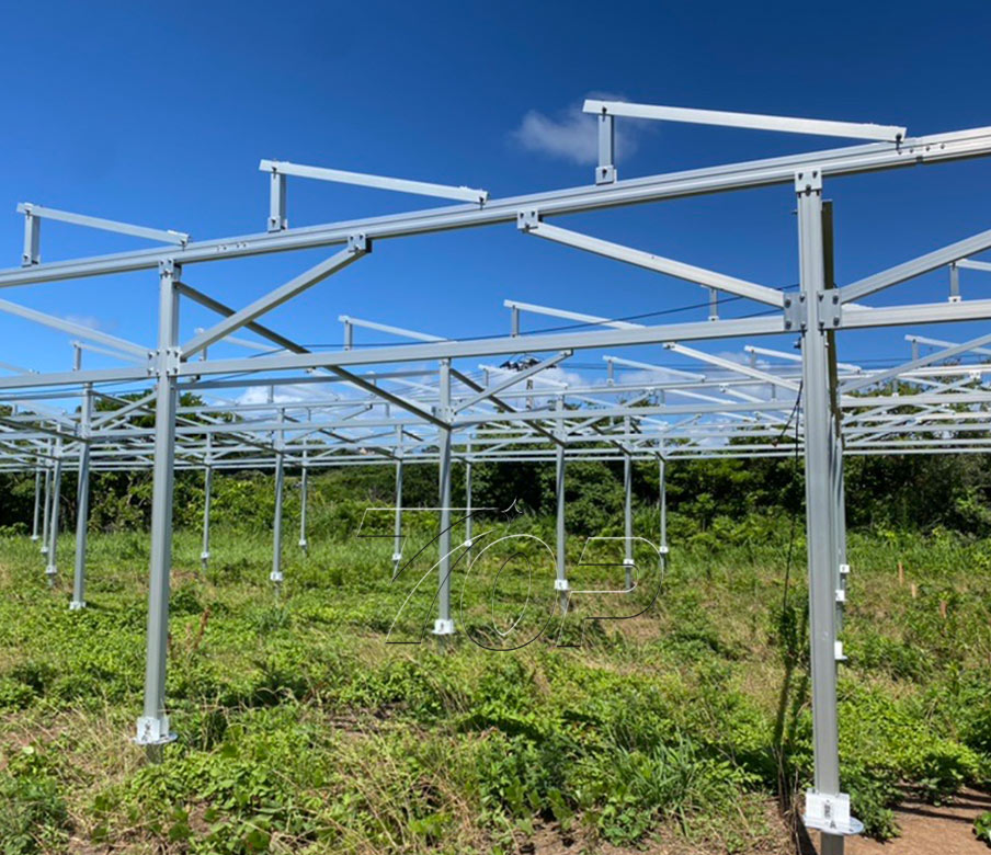 TopEnergy lieferte die Lösung für die Solarmodulstruktur für mehr als 20 Farmen in Japan